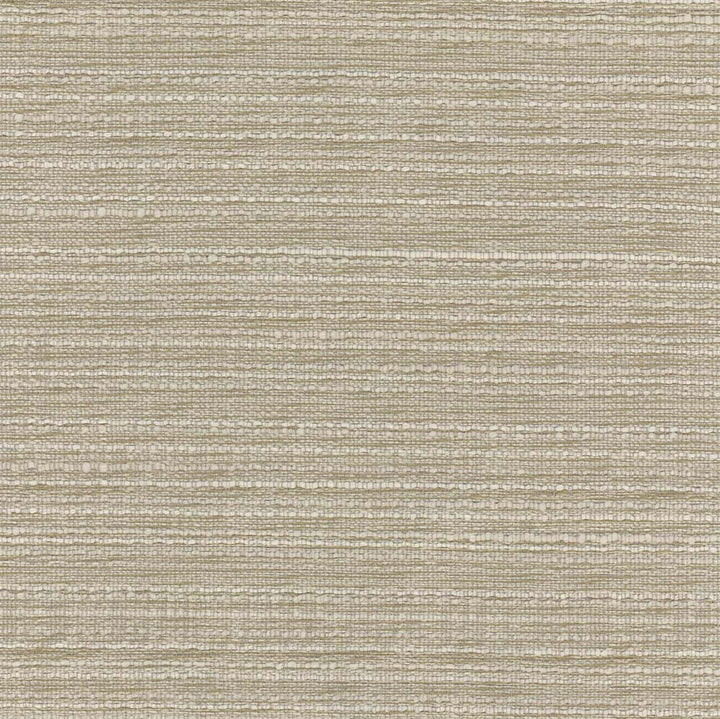 Emmeline Sand Dollar by Carole Fabric Lydia Ii 100% Polyester India N/A Horizontal: 0 and Vertical: 0 54 - Fabric Carolina -
