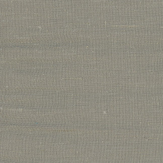 Lydia Cement by Carole Designer Fabric Lydia,Lydia II 100% Polyester Fr India N/A </p><p>Repeat: None 54" - Swanky Fabrics -