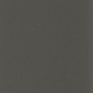 Daydreamer Charcoal by Carole Fabric