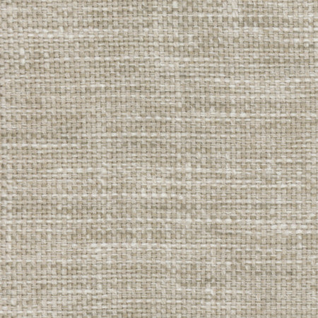Lazarus Abalone by Carole Designer Fabric Prominence 54% Cotton, 46% Polyester India None 54" - Swanky Fabrics -