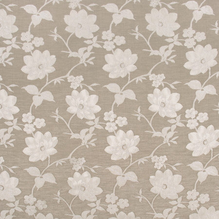Proper Pose Latte by Carole Fabric COCONUT CREAM 67% Polyester, 33% Cotton India Passes 30,000 Double Rubs Wyzenbeek 13 1/2" V, 13 3/4" H 54"  - Fabric Carolina -