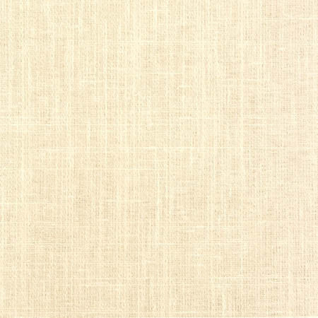 Duty Calls Froth by Carole Fabric Toasted Almond 77% Polyester, 14% Cotton, 9% Linen INDIA N/A None 54"  - Fabric Carolina -