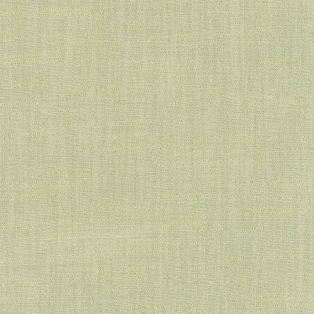 Athlete Sage by Carole Fabric Celadon 60% Cotton, 40% Polyester India Passes 50,000 Double Rubs Wyzenbeek </p><p>Repeat: None 55" - Fabric Carolina -