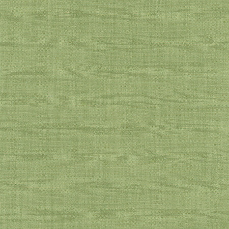 Athlete Green by Carole Fabric Celadon 60% Cotton, 40% Polyester India Passes 50,000 Double Rubs Wyzenbeek </p><p>Repeat: None 55" - Fabric Carolina -