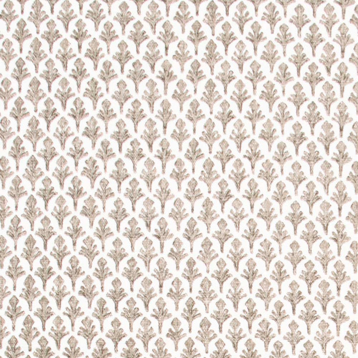 Bare Branches Driftwood by Carole Fabric Ash Oak 85% Cotton, 15% Linen Pakistan 24,000 Wyzenbeek Double Rubs Horizontal: 5.375 and Vertical: 1.25 54 - Fabric Carolina -