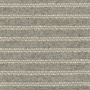 Take Your Time Granite by Carole Fabric