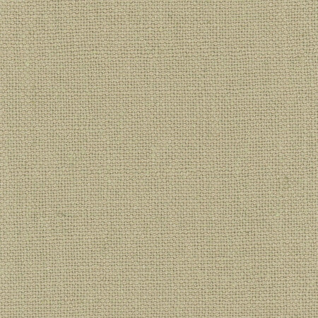 Defense Fossil by Carole Fabric Chestnut 95% Polyester, 5% Linen China Passes 110,000 Double Rubs Wyzenbeek Horizontal: None and Vertical: None 57" - Fabric Carolina -
