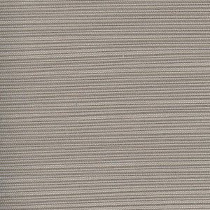 Admission Gray by Carole Fabric