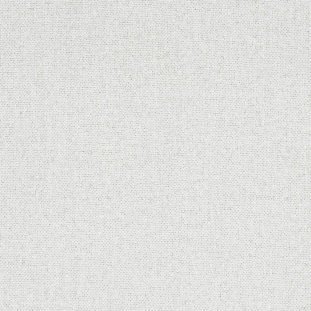 Gusto Ivory by Carole Fabric Power Play 100% Polyester N/A None 55" - Fabric Carolina -