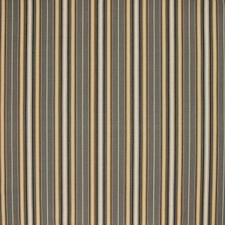 Rehearsal Pewter by Carole Fabric In Tune 100% Cotton India N/A Horizontal: None and Vertical: 6 3/4" H 54" - Fabric Carolina -