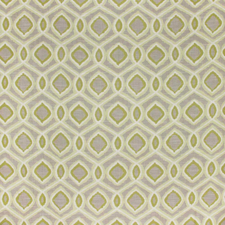 Short Of Breath Pistachio by Carole Fabric Fountain Gate 44% Rayon, 41% Poly, 11% Cotton, 4% Lin China Passes 30,000 Double Rubs Wyzenbeek Horizontal: 1425 and Vertical: 1125 54 - Fabric Carolina -