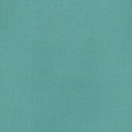 Succulent Cerulean by Carole Designer Fabric Succulent II 100% Polyester India None 54" - Swanky Fabrics -
