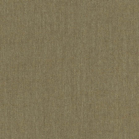 Aerial Kashmir by Carole Fabric Laguna 100% Polyester INDIA 50,000 Wyzenbeek Double Rubs None 54"  - Fabric Carolina -