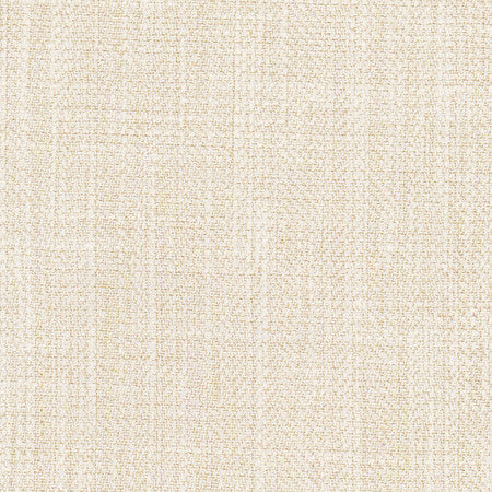 Fall Point Linen by Carole Designer Fabric On POint 43% Polyester, 19% Linen, 19% Cotton, 19% Rayon INDIA 100,000 Wyzenbeek Double Rubs Horizontal: None and Vertical: None 54" - Swanky Fabrics -