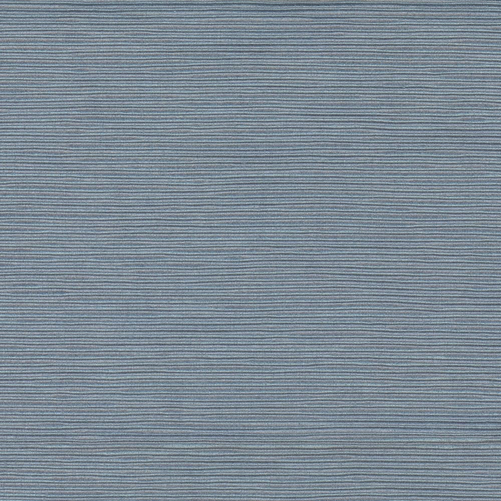 First Novel Celeste by Carole Fabric Stationery 72% Rayon, 28% Polyester China Passes 30,000 Double Rubs Wyzenbeek Horizontal: 0 and Vertical: 0 55 - Fabric Carolina -
