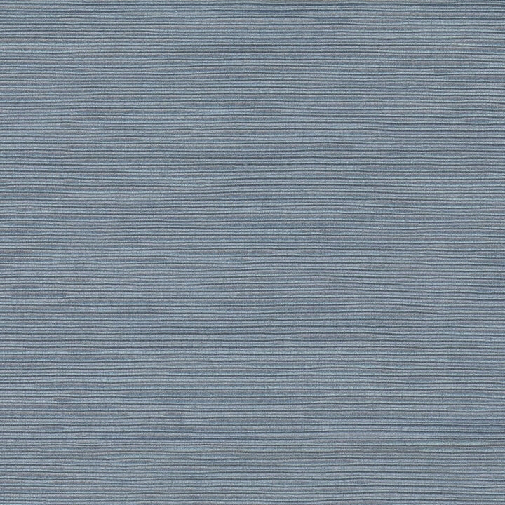 First Novel Celeste by Carole Fabric Stationery 72% Rayon, 28% Polyester China Passes 30,000 Double Rubs Wyzenbeek Horizontal: 0 and Vertical: 0 55 - Fabric Carolina -