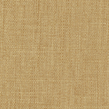 Commencement Burlap by Carole Fabric Commencement 100% Polyester-SSWR, Anti-Microbial Taiwan 50,000 Wyzenbeek Double Rubs None 56"  - Fabric Carolina -