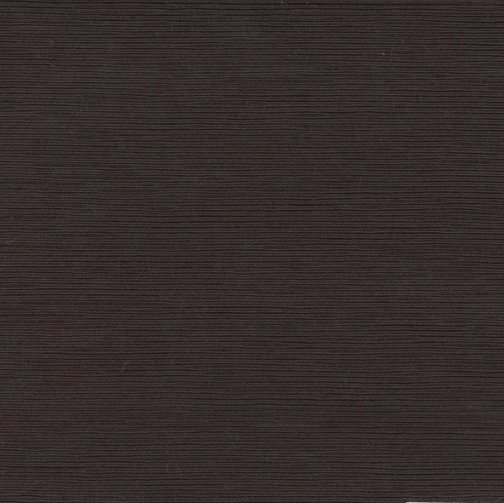 First Novel Black by Carole Fabric Stationery 72% Rayon, 28% Polyester China Passes 30,000 Double Rubs Wyzenbeek Horizontal: 0 and Vertical: 0 55 - Fabric Carolina -