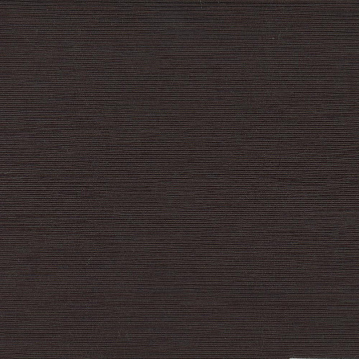 First Novel Black by Carole Fabric Stationery 72% Rayon, 28% Polyester China Passes 30,000 Double Rubs Wyzenbeek Horizontal: 0 and Vertical: 0 55 - Fabric Carolina -