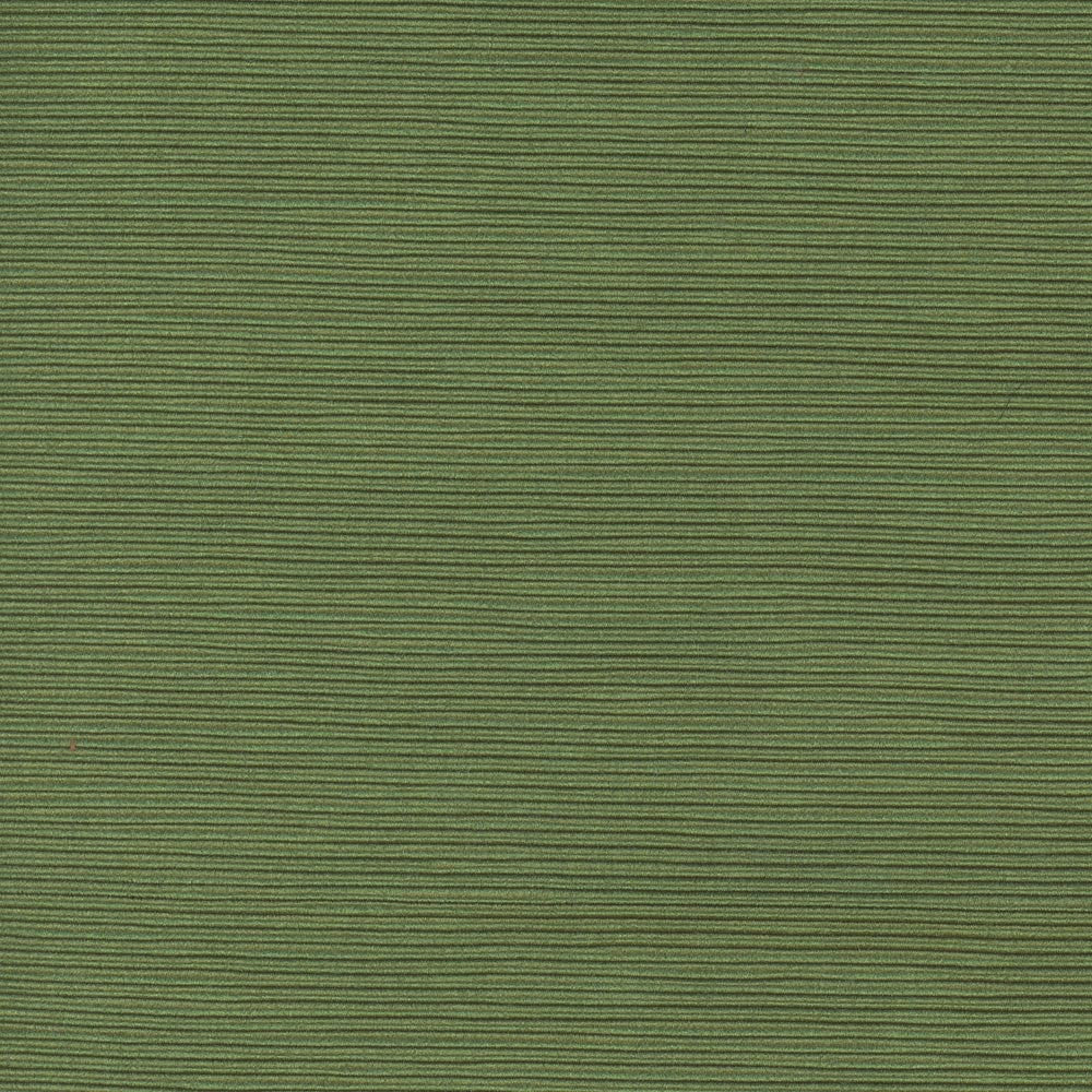 First Novel Clover by Carole Fabric Stationery 72% Rayon, 28% Polyester China Passes 30,000 Double Rubs Wyzenbeek Horizontal: 0 and Vertical: 0 55 - Fabric Carolina -