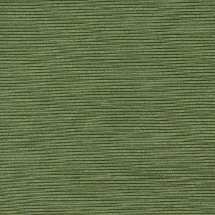 First Novel Clover by Carole Fabric Stationery 72% Rayon, 28% Polyester China Passes 30,000 Double Rubs Wyzenbeek Horizontal: 0 and Vertical: 0 55 - Fabric Carolina -