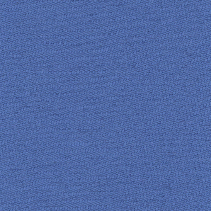 Fact Finder Caribbean by Carole Fabric Cadet 100% Polyester Turkey Passes 40,000 Double Rubs Wyzenbeek Horizontal: 0 and Vertical: 0 59 - Fabric Carolina -