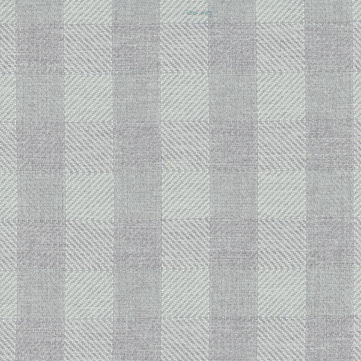 Paddle Board Silver by Carole Fabric Bar Harbor 100% Polyester India Passes 30,000 Double Rubs Wyzenbeek Horizontal: 175 and Vertical: 175 54 - Fabric Carolina -