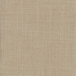 Sightsee Putty by Carole Fabric