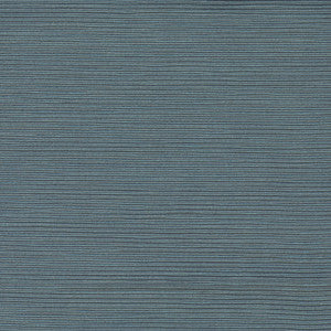 First Novel Cerulean by Carole Fabric