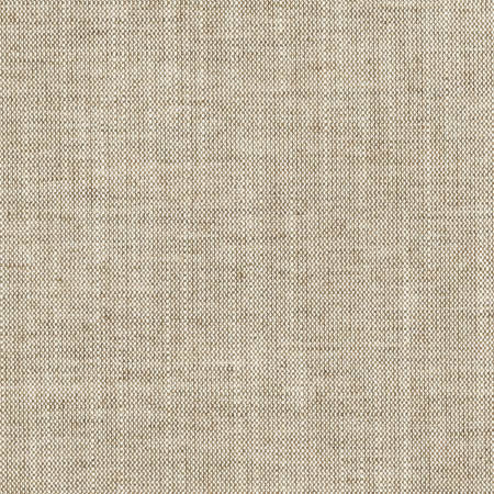 Aerial Oatmeal by Carole Fabric Toasted Almond 100% Polyester INDIA 50,000 Wyzenbeek Double Rubs None 54"  - Fabric Carolina -