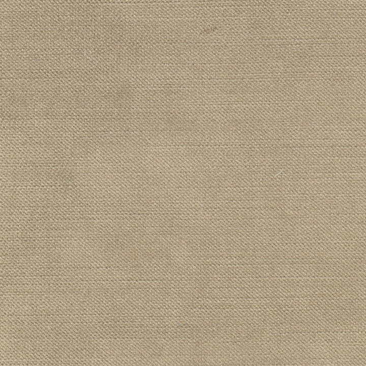 Regal Touch Walnut by Carole Fabric Touch Of Luxury 100% Polyester Turkey 15,000 Wyzenbeek Double Rubs Horizontal: 0 and Vertical: 0 55 - Fabric Carolina -