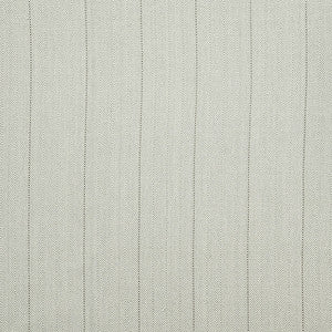 Bluesy Stripe Aloe by Carole Fabric