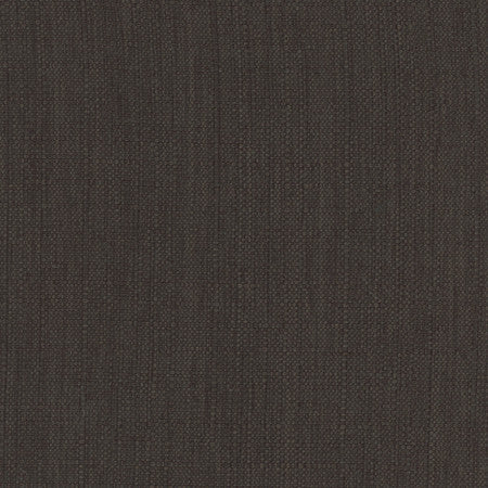 Intention Jet by Carole Fabric Head Start 100% Polyester Taiwan  None 54"  - Fabric Carolina -