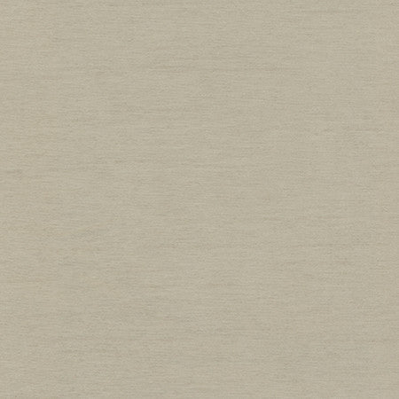 Bassco Pewter by Carole Fabric With Grace 100% Polyester China N/A None 58"  - Fabric Carolina -
