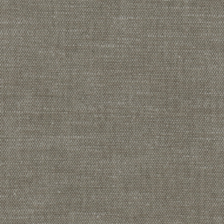 <p>Bessarion Wolf by Carole Fabric</p><p><strong>Required Minimum Quantity Purchase: 2 yards</strong></p><p>Book: Prominence,Desert Sands</p><p>Content: 71% Polyester, 29% Cotton</p><p>Origin: </p><p>Performance: 15,000 Wyzenbeek Double Rubs</p><p>Repeat: None</p><p>Width: 55"</p>