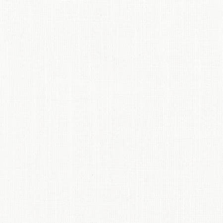 Aerial White by Carole Fabric Opal,Dove Wing 100% Polyester India  None 54"  - Fabric Carolina -