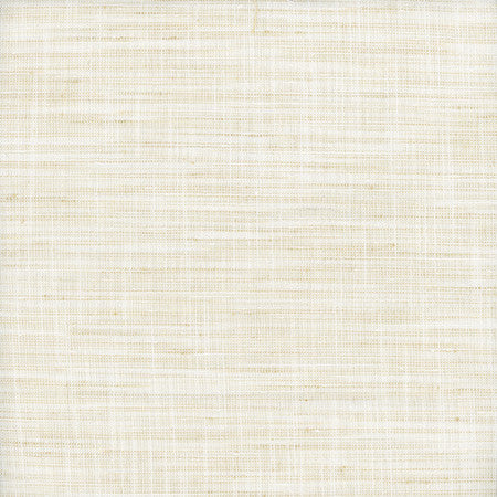 There For You Rice by Carole Designer Fabric Alliance 100% Polyester India None 55"" - Swanky Fabrics -