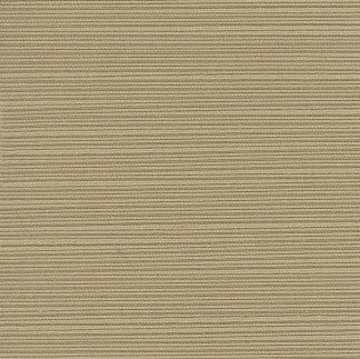 Admission Cork by Carole Fabric Fortitude 64% Spun Polyester, 36% Poly Fil India Passes 30,000 Circular Rubs Martindale None 55"  - Fabric Carolina -