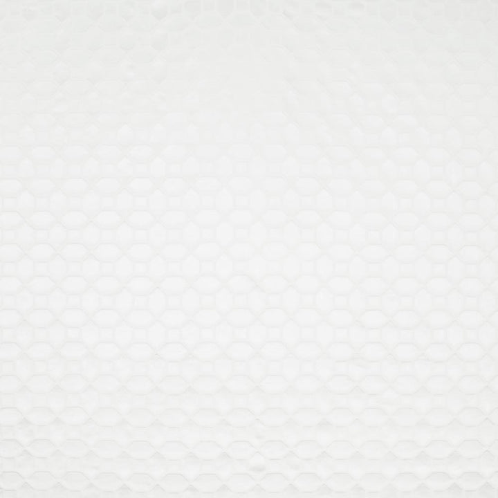 Both Of Us White by Carole Fabric Silver Fox 60% Cotton, 40% Polyester China N/A Horizontal: 25 and Vertical: 25 55 - Fabric Carolina -