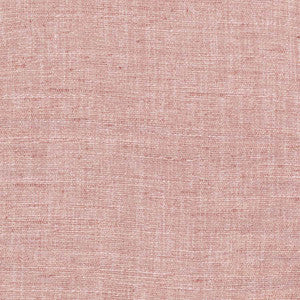 Training Day Blush by Carole Fabric