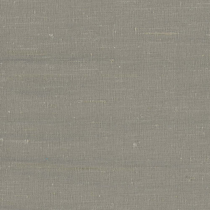 Lydia Cement by Carole Fabric Lydia Ii 100% Polyester India N/A Horizontal: 0 and Vertical: 0 54 - Fabric Carolina -