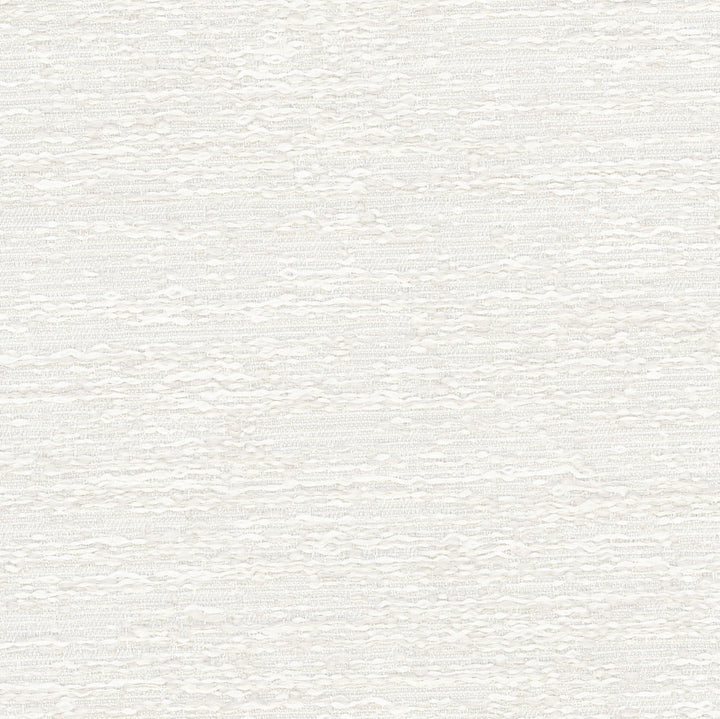Stampede Off White by Carole Fabric Opal 100% Polyester India N/A Horizontal: 0 and Vertical: 0 54 - Fabric Carolina -