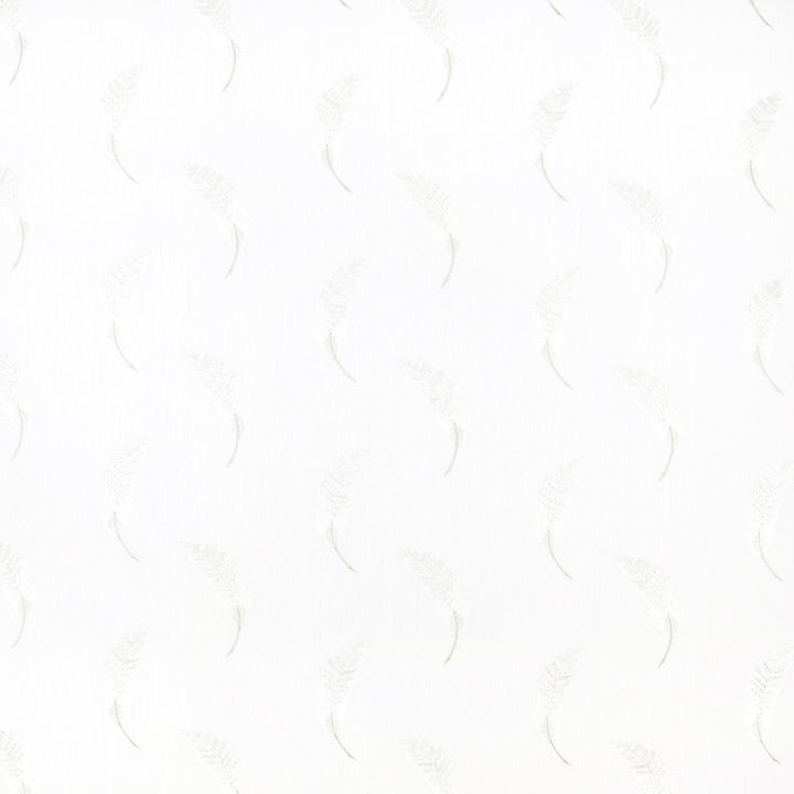 Feather Point Gull by Carole Fabric For The Window 52% Cotton, 48% Polyester India N/A Horizontal: 11 and Vertical: 925 51 - Fabric Carolina -