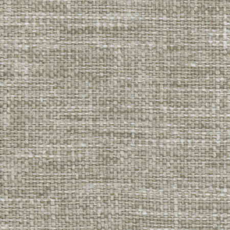 Lazarus Willow by Carole Designer Fabric Prominence 54% Cotton, 46% Polyester India N/A </p><p>Repeat: None 54" - Swanky Fabrics -