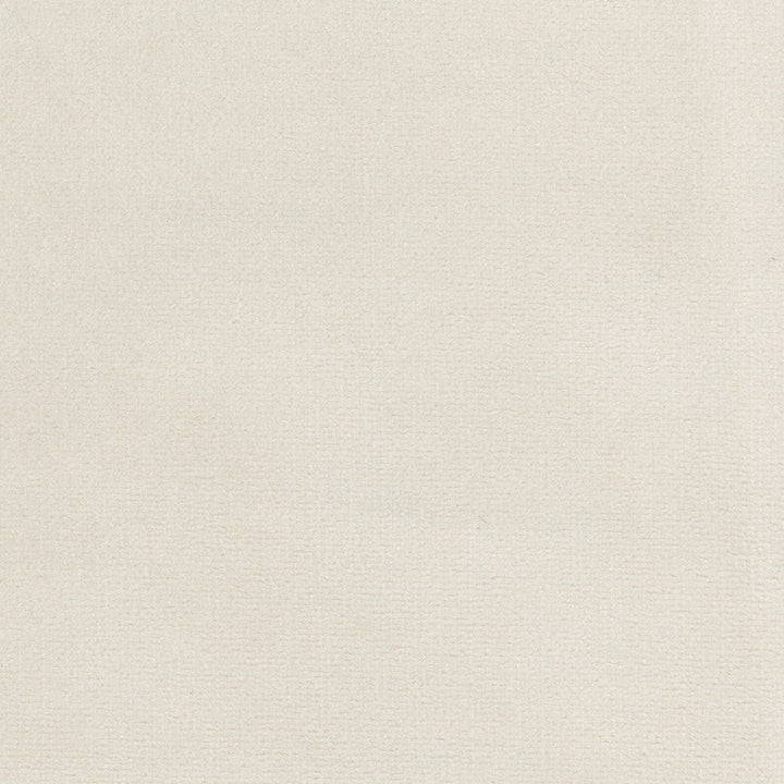 Plush Touch Oyster by Carole Designer Fabric Touch Of Luxury 100% Polyester Knit Backing China 235,000 Wyzenbeek Double Rubs Horizontal: 0 and Vertical: 0 55 - Swanky Fabrics -