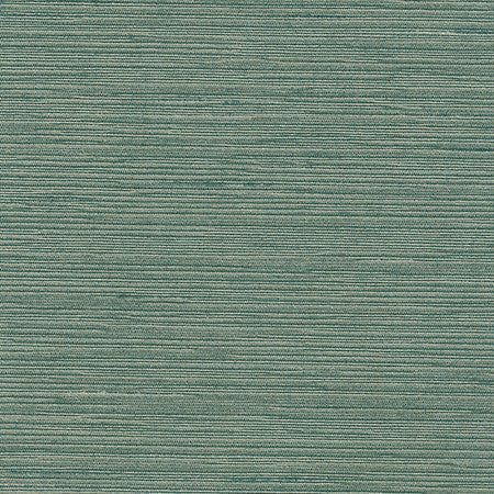 Optimism Lagoon by Carole Designer Fabric Synchrony 100% IFR Polyester India None 54" - Swanky Fabrics -