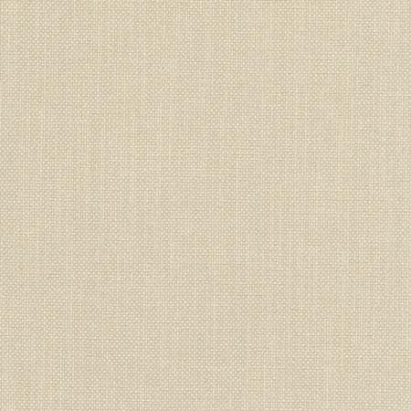 Liberty Dove by Carole Fabric Liberty II 100%  Polyester India 50,000 Wyzenbeek Double Rubs None 54"  - Fabric Carolina -