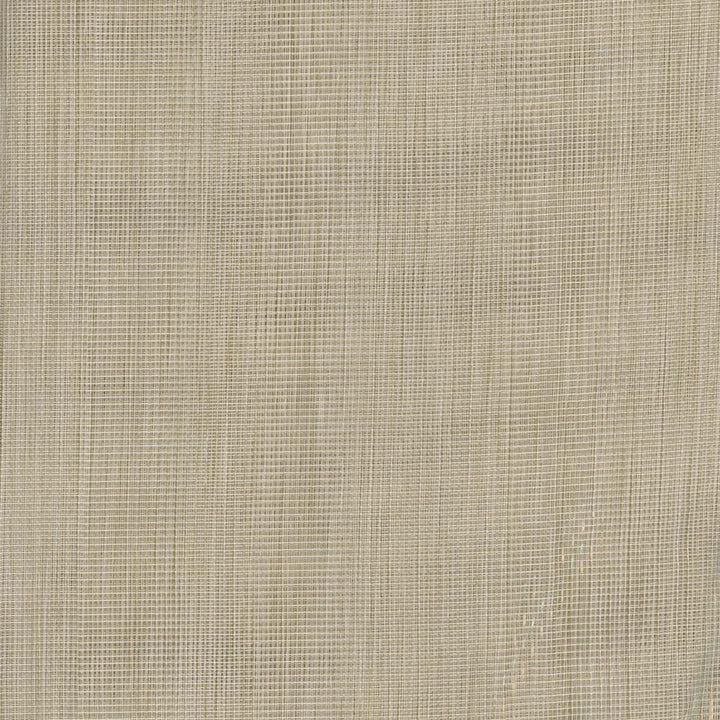 Cloudless Sky Birch by Carole Fabric Sheer Divine 100% Polyester Germany N/A Horizontal: 0 and Vertical: 0 120 - Fabric Carolina -