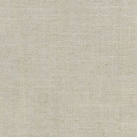 Mailbox Lemur by Carole Designer Fabric Abode 45% Viscose, 35% Polyester, 20% Linen China 50,000 Wyzenbeek Double Rubs None 57" - Swanky Fabrics -