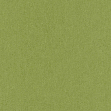 Comfort Grass by Carole Designer Fabric Daydreaming 100% Cotton India Passes 21,000 Double Rubs Wyzenbeek Horizontal: None and Vertical: None 54" - Swanky Fabrics -